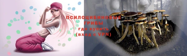 прущие крисы Абинск
